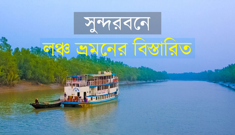 ভ্রমনপিপাসুদের কাছে সুন্দরবন এক মনোরম স্থান, আসুন জেনে নিই সুন্দরমন ভ্রমনের আদ্যোপান্ত - West Bengal News 24