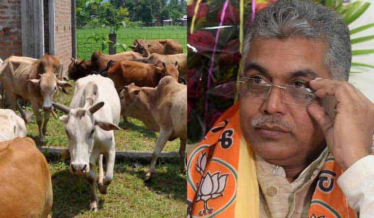 Dilip Ghosh : আবারও গোরুর দুধে প্লাবিত হল দিলীপের ফেসবুক, সোনার খনি খুঁড়ে দিলেন দিলীপ ঘোষ নিজেই - West Bengal News 24 
