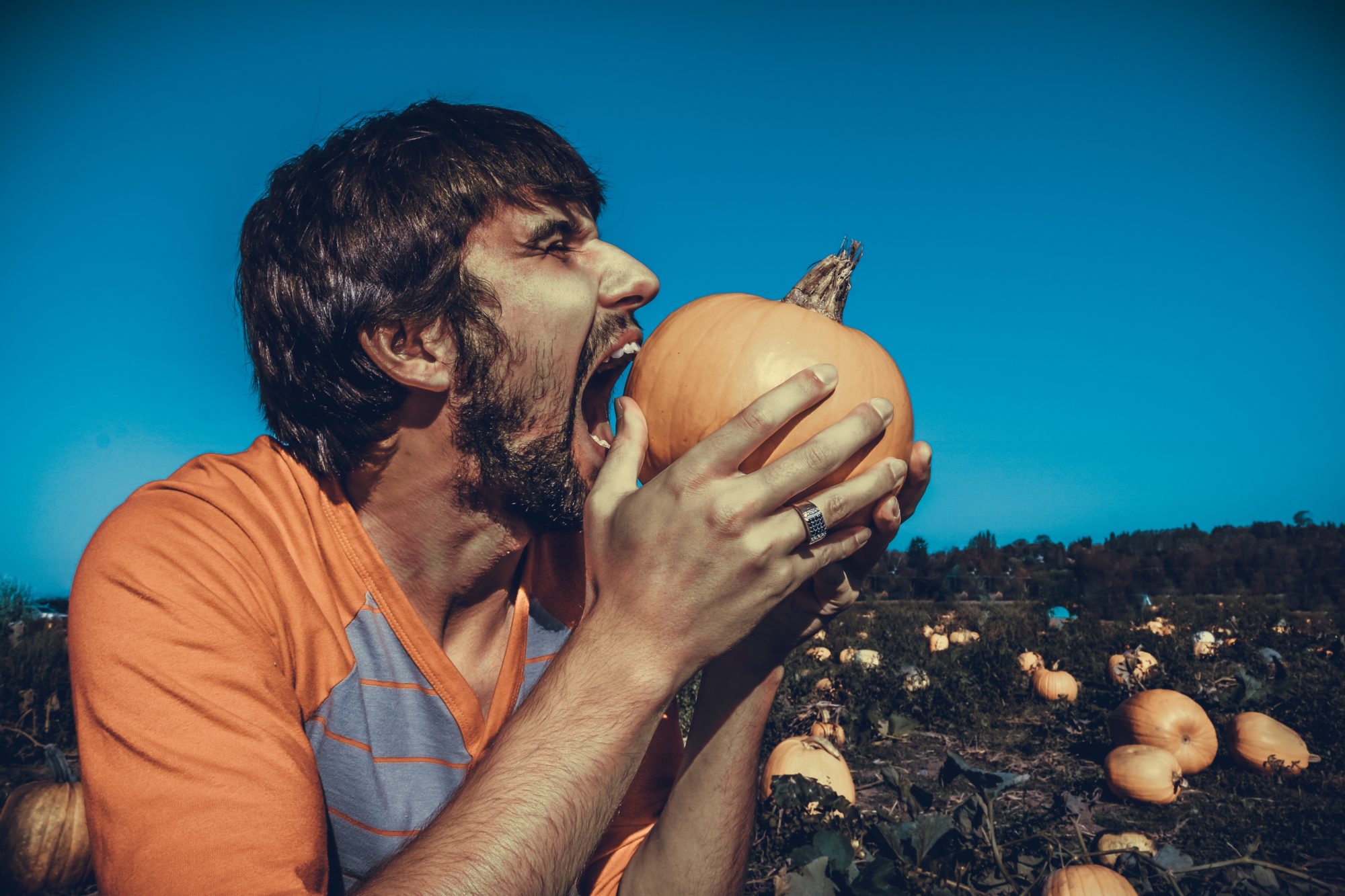Pumpkin Benefits : কুমড়া বেশি খাওয়া কি স্বাস্থ্যের জন্য ক্ষতিকর? - West Bengal News 24