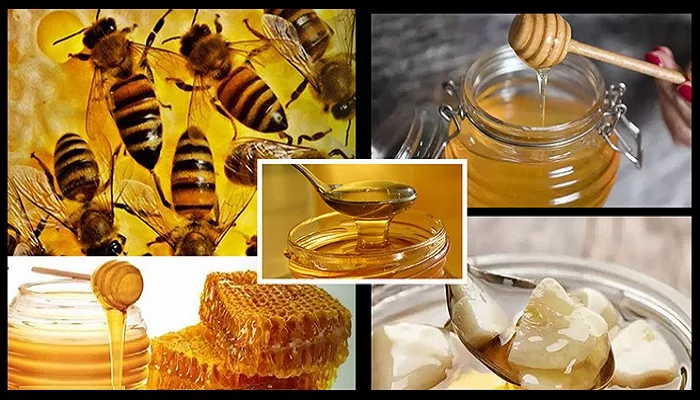 Learn how to recognize pure honey : খাঁটি মধু চেনার উপায় জেনে নিন - West Bengal News 24