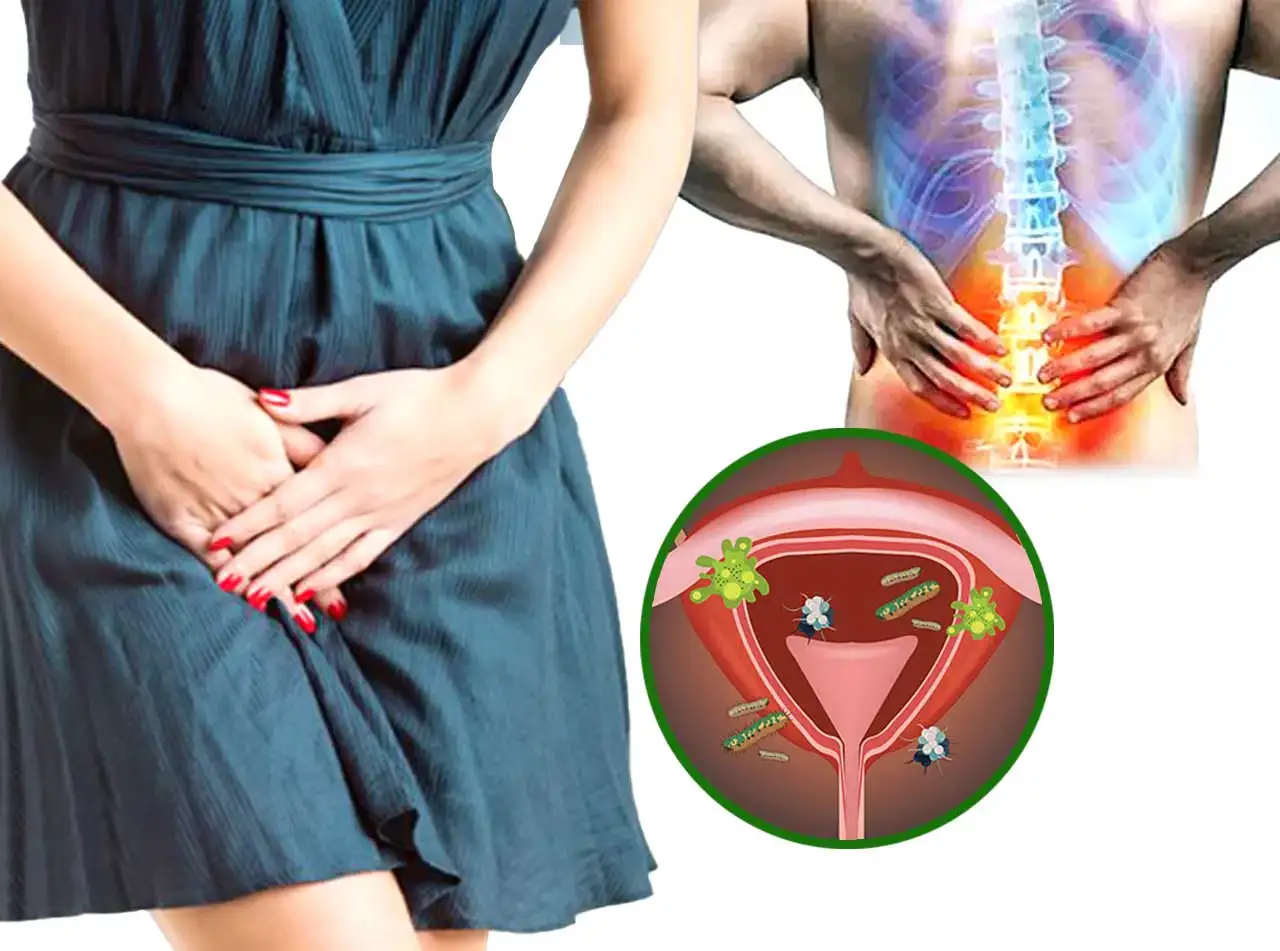 Holding Pee For Too Long : দীর্ঘক্ষণ প্রস্রাব চেপে রাখার ক্ষতি কী - West Bengal News 24