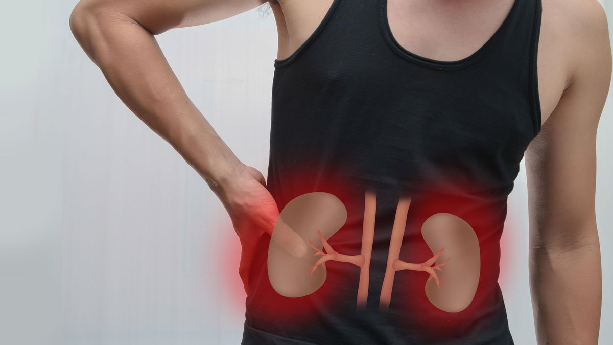 Kidney Damage Symptoms in Bengali : কিডনি বিকল হচ্ছে গোপনেই? বুঝবেন যেসব লক্ষণে - West Bengal News 24