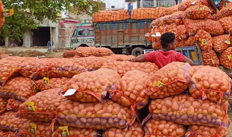 আগুন গরমে হাতে ছ্যাঁকা ধরাচ্ছে আলু – নাভিশ্বাস মধ্যবিত্তের - West Bengal News 24