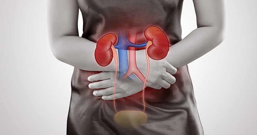 Kidney Damage Symptoms in Bengali : কিডনি ড্যামেজের লক্ষণগুলো জানেন? - West Bengal News 24