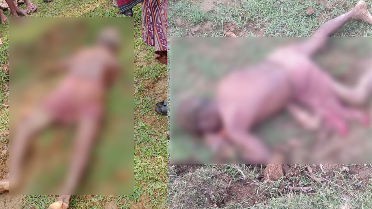 মাঠে প্রাতঃকৃত্যে গিয়ে হাতির হানায় বৃদ্ধের মৃত্যু - West Bengal News 24