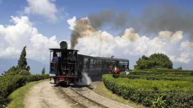 দার্জিলিঙে টয় ট্রেনের ধাক্কায় যুবকের মৃত্যু, কার্শিয়াংয়ে মর্মান্তিক দুর্ঘটনা - West Bengal News 24