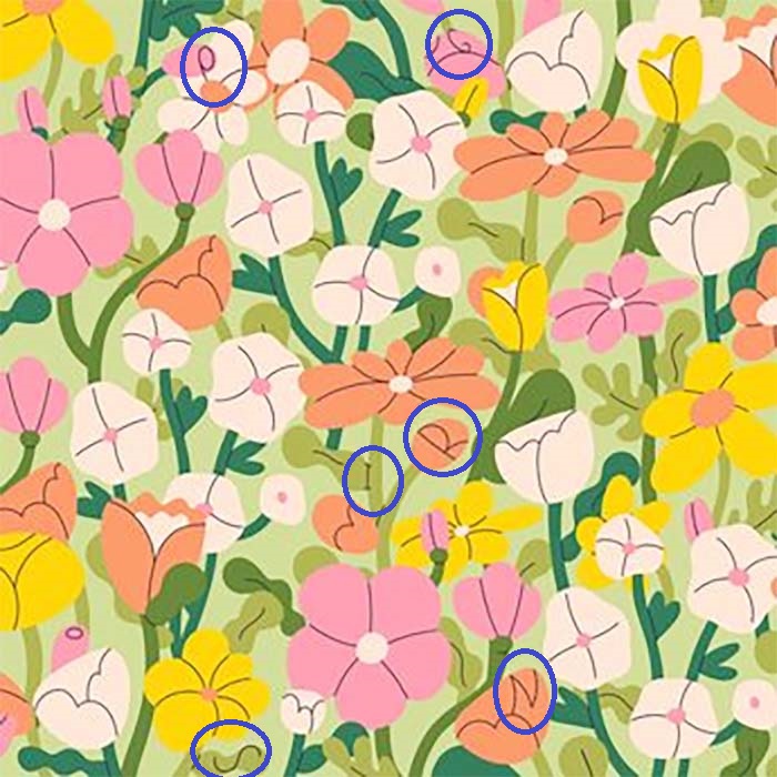 ছবিতে রঙিন ফুলের মাঝে রয়েছে ৬টি ইংরেজি অক্ষর, আপনি কি খুঁজে পেয়েছেন - West Bengal News 24