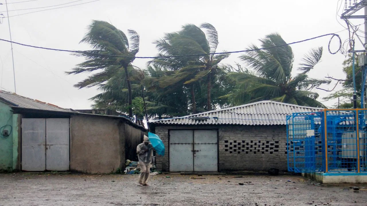 ঝড়ের পর গাছের ডাল সরাতে গিয়েই বিপত্তি, পাথরপ্রতিমায় মর্মান্তিক মৃত্যু কিশোরের - West Bengal News 24