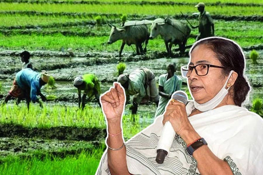 কৃষকবন্ধু প্রকল্পে রেকর্ড অঙ্কের অর্থ বরাদ্দ করল রাজ্য সরকার - West Bengal News 24
