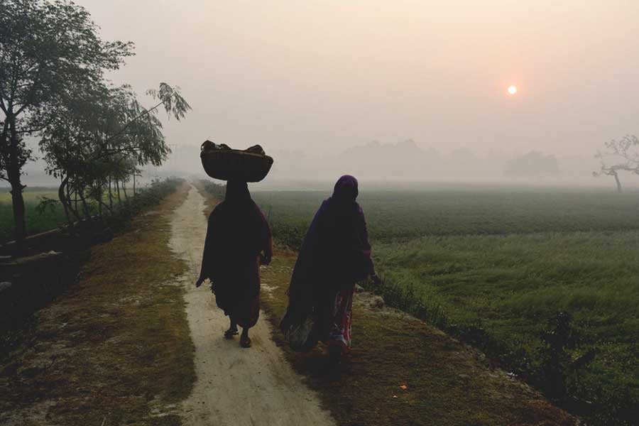 Weather Update : বঙ্গে কবে জাঁকিয়ে শীত ? কি বলছে আবহাওয়া দপ্তর ? - West Bengal News 24