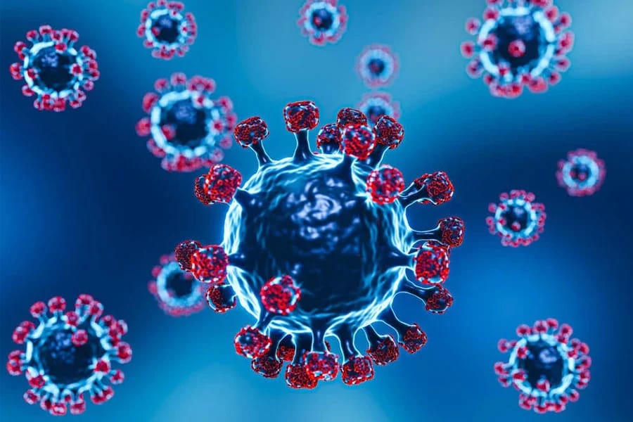 HMPV Virus Outbreak : চিনে HMPV ভাইরাসের দাপট! আশঙ্কার মেঘ ভারতেও ? - West Bengal News 24