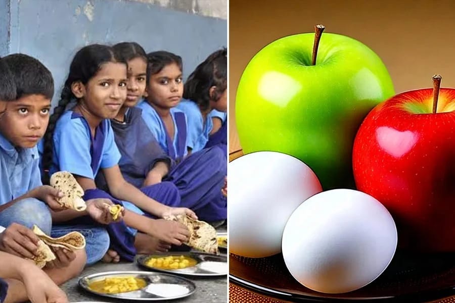 মিড ডে মিলে ডিম, ফল পাবে পড়ুয়ারা, শিক্ষার্থীদের পুষ্টিতে নজর রাজ্য সরকারের - West Bengal News 24