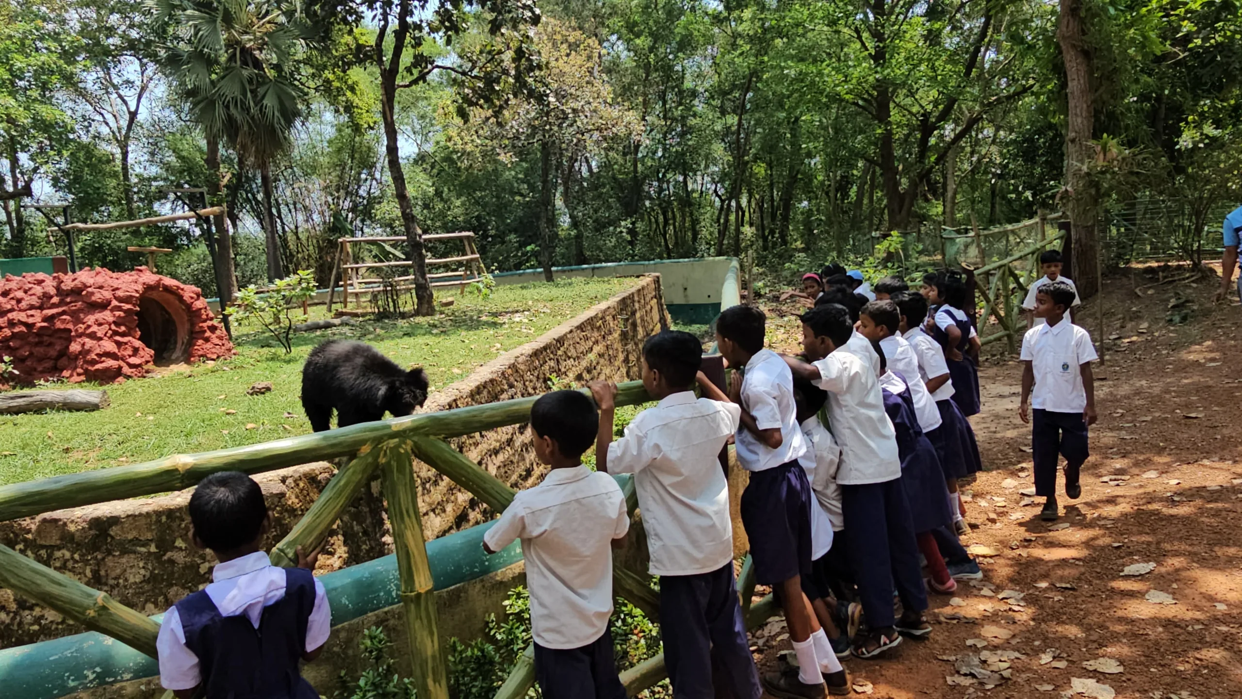বনমন্ত্রীর উদ্যোগে প্রত্যন্ত গ্রামের আদিবাসী খুদে ছাত্রছাত্রীরা প্রথমবার চিড়িয়াখানা ঘুরে দেখল - West Bengal News 24
