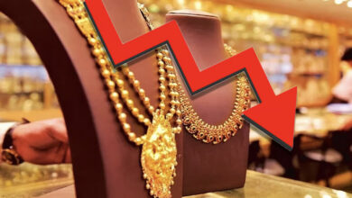 Gold Price Today : সোনার দামে বিপর্যয়ের ইঙ্গিত! ৯০ হাজার থেকে পড়ে যেতে পারে অর্ধেকে - West Bengal News 24