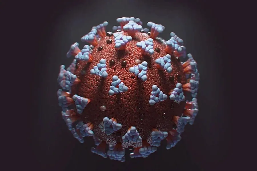 আবারও বাংলায় করোনার সংক্রমণ! মগরাহাটে ভাইরাসে আক্রান্ত দুই ব্যক্তি - West Bengal News 24 আবারও বাংলায় করোনার সংক্রমণ! মগরাহাটে ভাইরাসে আক্রান্ত দুই ব্যক্তি - West Bengal News 24