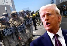 Donald Trump : ‘নো কিংস’ স্লোগানে উত্তাল আমেরিকা, ট্রাম্প-বিরোধী বিক্ষোভ ৫০ রাজ্যে - West Bengal News 24