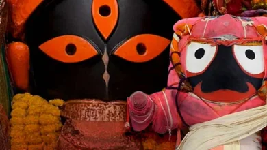 জগন্নাথদেবের মতোই স্নানযাত্রা পালিত হয় মহাপীঠ কালীঘাটেও - West Bengal News 24