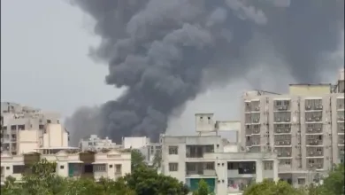 Ahmedabad Plane Crash : আহমেদাবাদে ভয়াবহ বিমান দুর্ঘটনা, বহু প্রাণহানির আশঙ্কা - West Bengal News 24