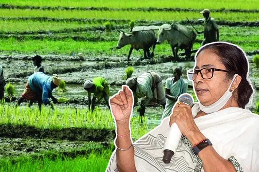 Mamata Banerjee : রাজ্যে ধানে রেকর্ড উৎপাদন, কৃষকদের প্রতি কৃতজ্ঞতা প্রকাশ করলেন মুখ্যমন্ত্রী - West Bengal News 24 Mamata Banerjee : রাজ্যে ধানে রেকর্ড উৎপাদন, কৃষকদের প্রতি কৃতজ্ঞতা প্রকাশ করলেন মুখ্যমন্ত্রী - West Bengal News 24