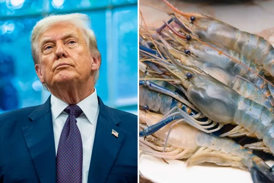 মার্কিন সিদ্ধান্তে চিংড়ি বাজারে ধাক্কা, বিকল্প খুঁজছে রপ্তানিকারীরা - West Bengal News 24