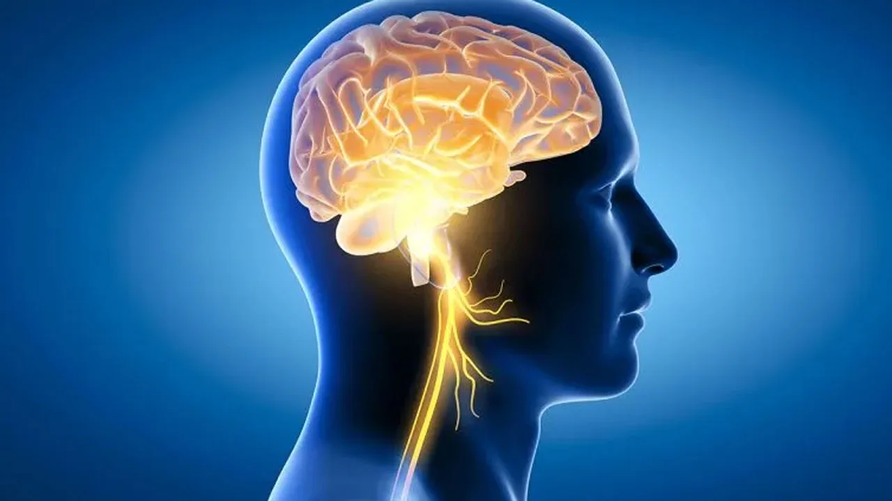 মস্তিষ্ক সক্রিয় রাখতে ৩০ মিনিট করুন এই ব্যায়াম - West Bengal News 24