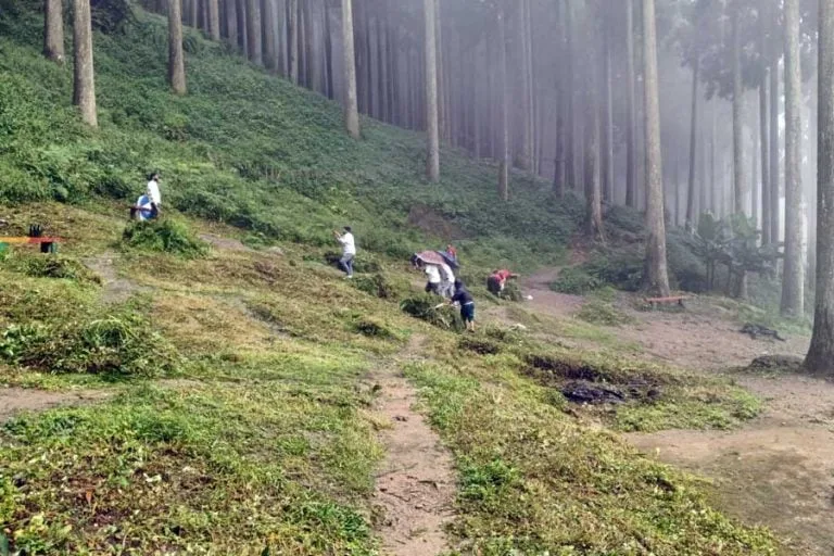 পুজোর আগে ভ্রমণপিপাসুদের জন্য প্রস্তুত হচ্ছে ‘পাহাড়ের রানি’ দার্জিলিং! থাকছে নয়া আয়োজন - West Bengal News 24