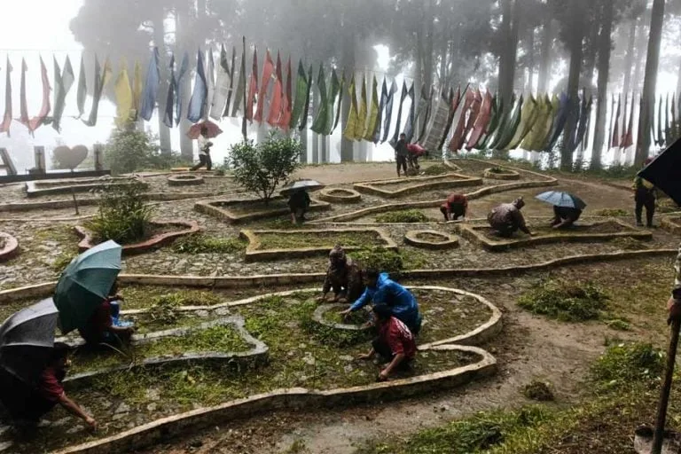 পুজোর আগে ভ্রমণপিপাসুদের জন্য প্রস্তুত হচ্ছে ‘পাহাড়ের রানি’ দার্জিলিং! থাকছে নয়া আয়োজন - West Bengal News 24