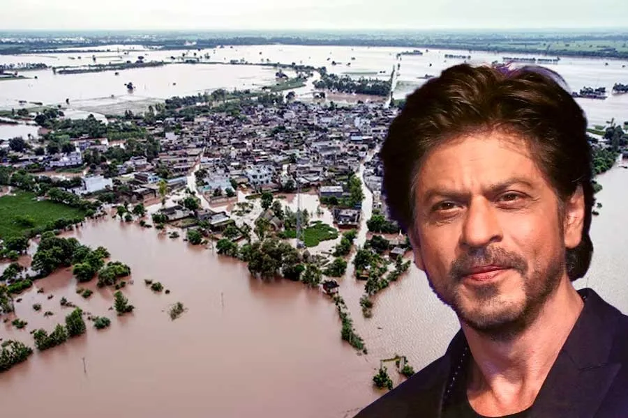 Shah Rukh Khan : বানভাসি পাঞ্জাবের ১৫০০ পরিবারের পাশে দাঁড়ালেন শাহরুখ, নিঃশব্দেই মানবসেবায় ‘বাদশা’ - West Bengal News 24