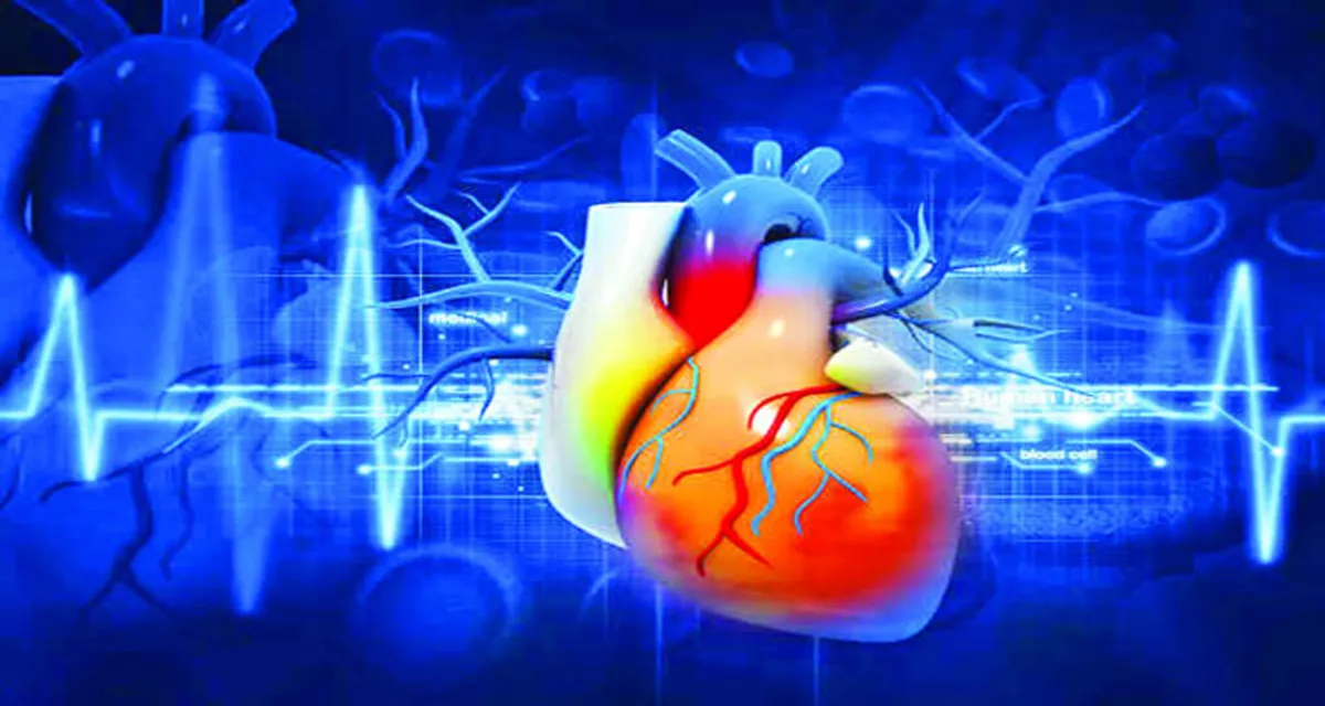 হার্টের সমস্যা ও হৃদরোগ থেকে বাঁচতে যেসব অভ্যাস ছাড়তেই হবে - West Bengal News 24 হার্টের সমস্যা ও হৃদরোগ থেকে বাঁচতে যেসব অভ্যাস ছাড়তেই হবে - West Bengal News 24