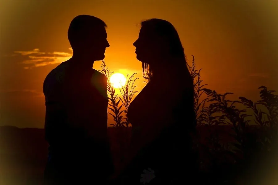 ‘লিভ-ইন নিষিদ্ধ নয়’ প্রাপ্তবয়স্করা একসঙ্গে থাকতেই পারেন, বড় সিদ্ধান্ত হাই কোর্টের - West Bengal News 24