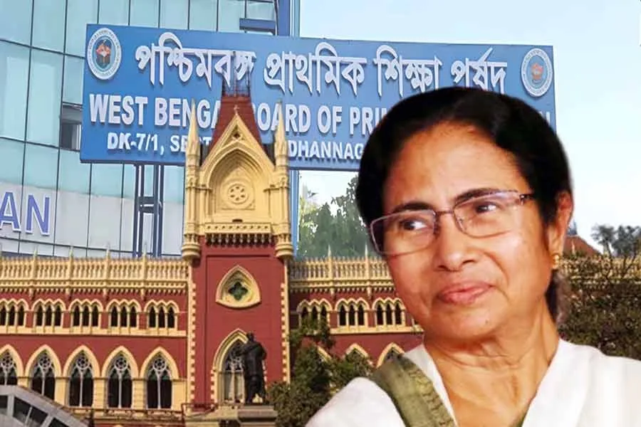 Primary Teachers Recruitment Case : ‘বিচারকে আমরা শ্রদ্ধা করি’, প্রাথমিকে ৩২ হাজার চাকরি বহালে খুশি মুখ্যমন্ত্রী মমতা - West Bengal News 24 Primary Teachers Recruitment Case : ‘বিচারকে আমরা শ্রদ্ধা করি’, প্রাথমিকে ৩২ হাজার চাকরি বহালে খুশি মুখ্যমন্ত্রী মমতা - West Bengal News 24