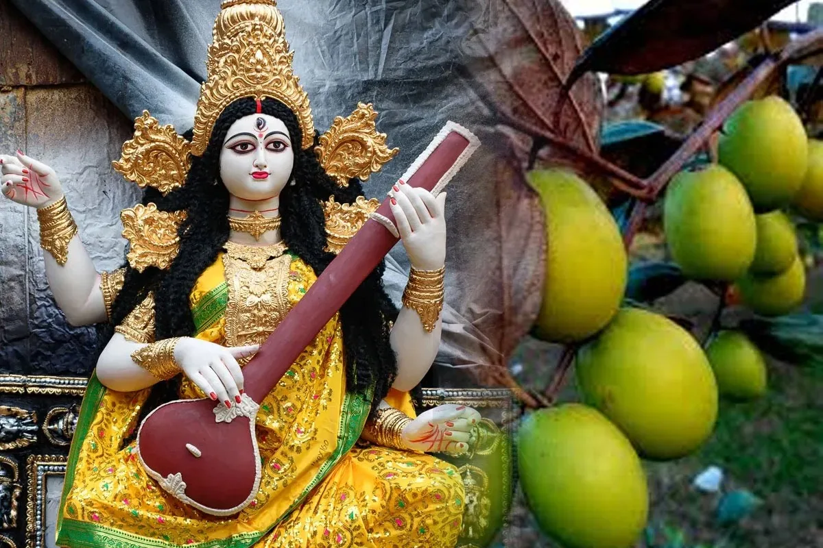 Latest Bengali News for Today | Breaking News in Bengali | Bengali Khabar 24 Ghanta - West Bengal News 24