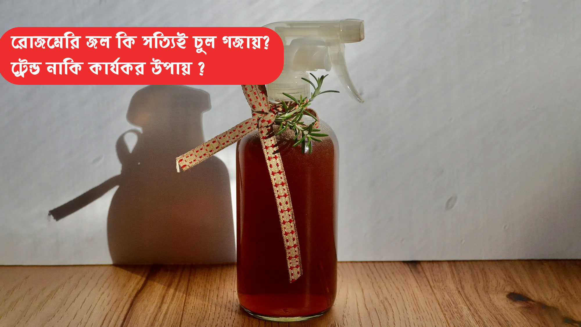 Latest Bengali News for Today | Breaking News in Bengali | Bengali Khabar 24 Ghanta - West Bengal News 24 Latest Bengali News for Today | Breaking News in Bengali | Bengali Khabar 24 Ghanta - West Bengal News 24