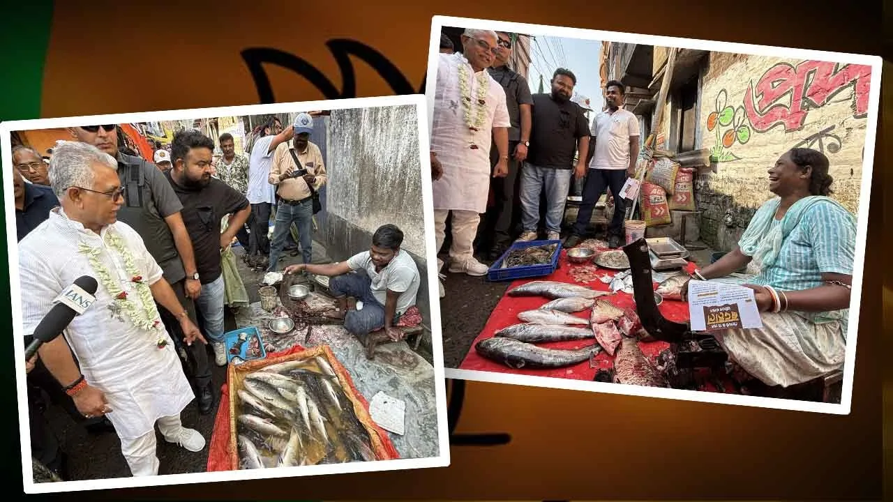মাছে প্রেম করলেই মিলবে ভোটের আশীর্বাদ! বাঙালির খাদ্যাভ্যাসে ভরসা রেখে পদ্মপ্রার্থীদের প্রচারে মাছের ছোঁয়া - West Bengal News 24