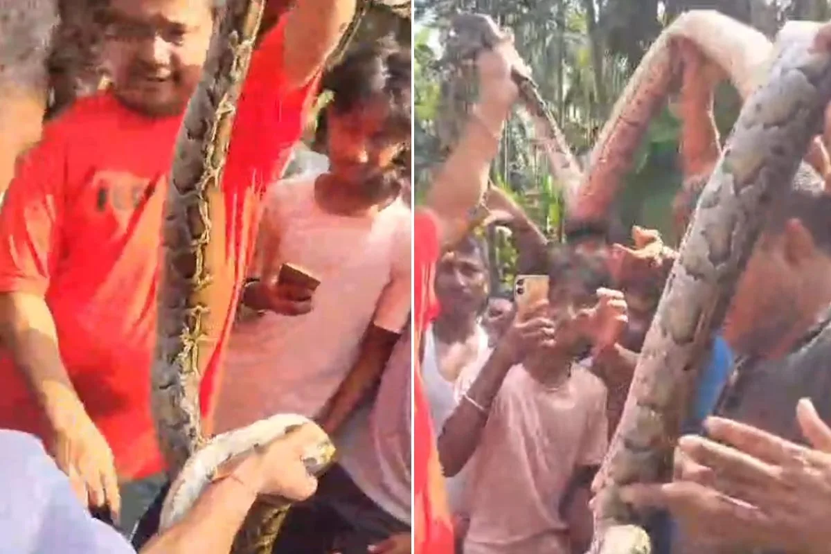গলায় বিশাল অজগর পেঁচিয়ে সেলফি উন্মাদনা! মেটেলির কাণ্ডে তীব্র ক্ষোভ প্রকাশ করে কড়া হুঁশিয়ারি দিলেন বনমন্ত্রী - West Bengal News 24